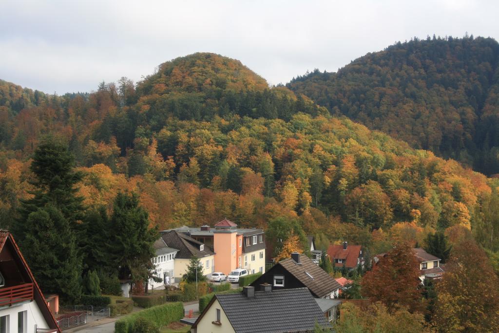 Fewo Harz Haennig 1 Wieda Exterior photo